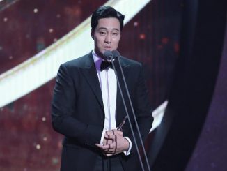 Download MBC Drama Awards 2018 Subtitle Indonesia