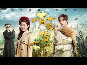 Download Drama China Prodigy Healer Subtitle Indonesia